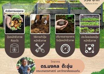 การอบรมการปลูกผักยกแคร่