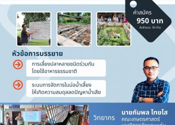 การอบรมการปลูกผักยกแคร่